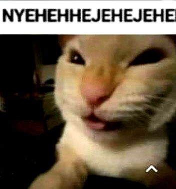 hey.its.yammy hey.its.yammy archive image