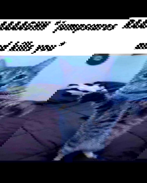 hey.its.yammy hey.its.yammy archive image