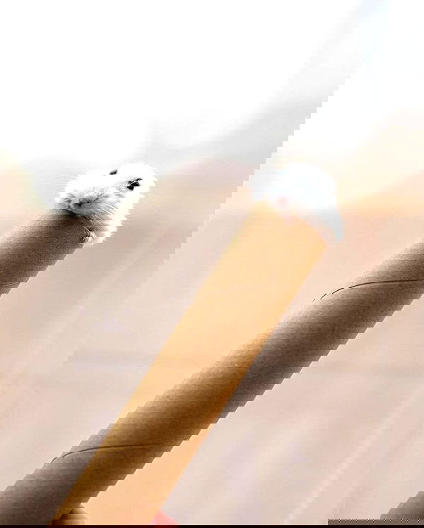 hey.its.yammy hey.its.yammy archive image