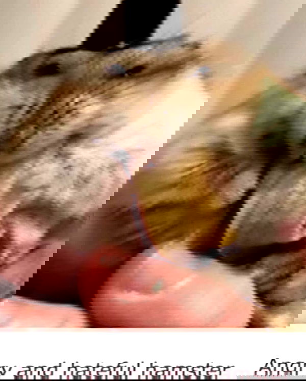 hey.its.yammy hey.its.yammy archive image