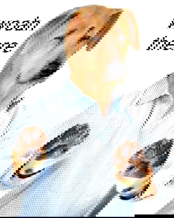 hey.its.yammy hey.its.yammy archive image