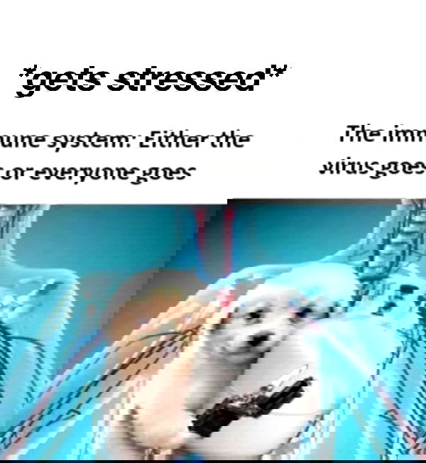 hey.its.yammy hey.its.yammy archive image