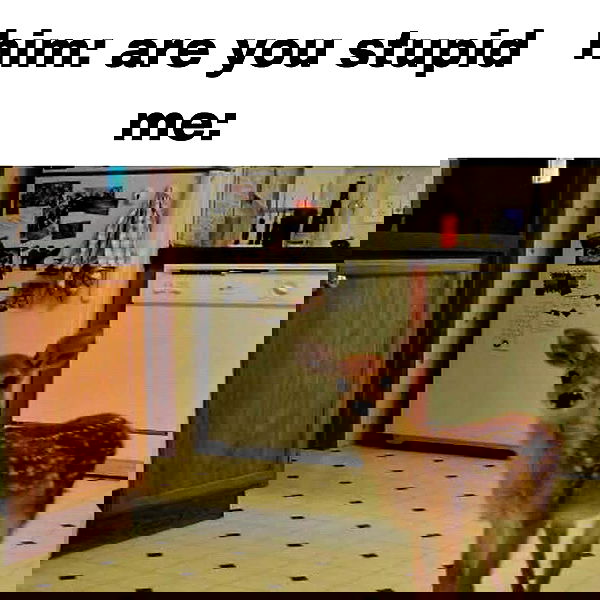 hey.its.yammy hey.its.yammy archive image