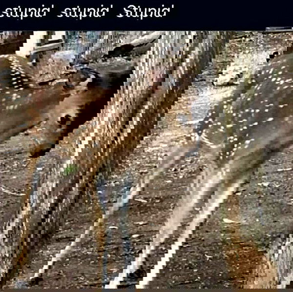 hey.its.yammy hey.its.yammy archive image