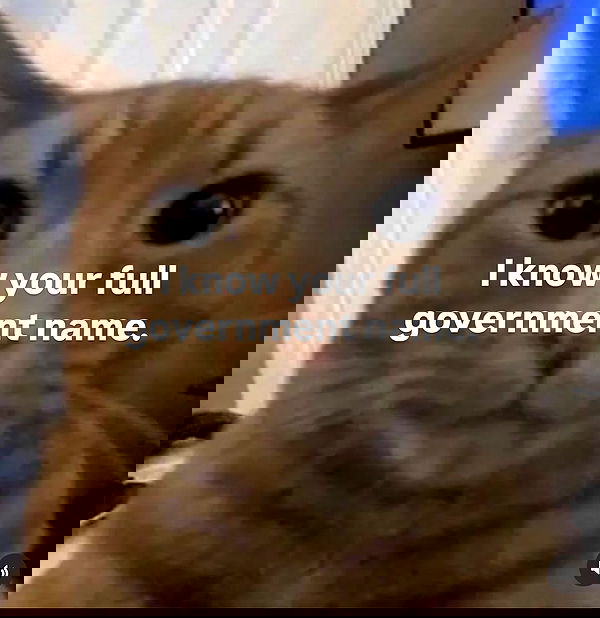 hey.its.yammy hey.its.yammy archive image