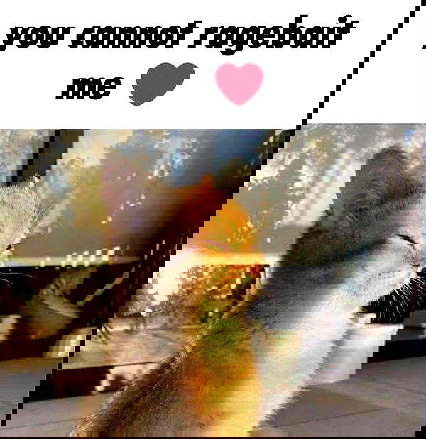 hey.its.yammy hey.its.yammy archive image