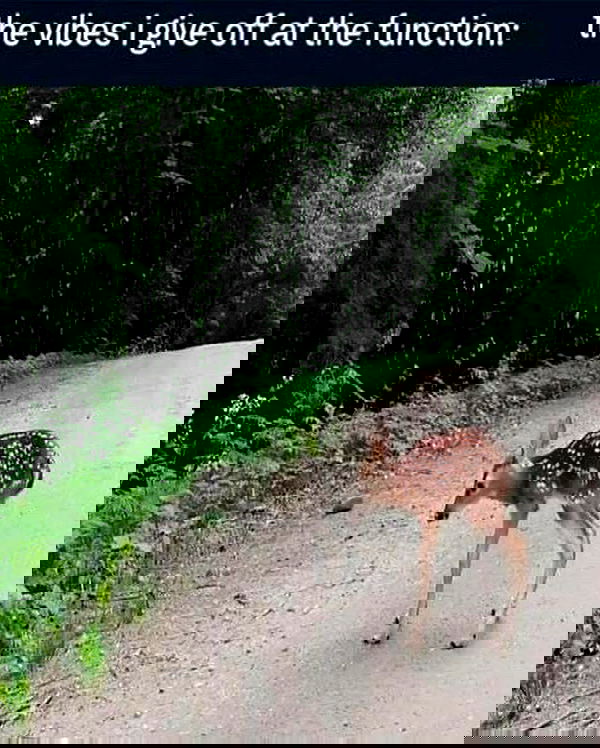 hey.its.yammy hey.its.yammy archive image