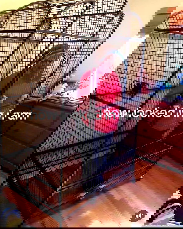 hey.its.yammy hey.its.yammy archive image