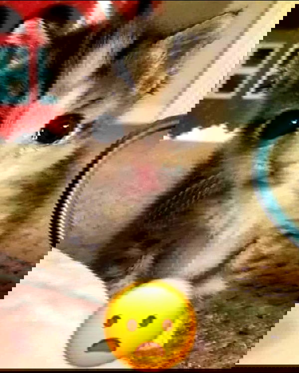 hey.its.yammy hey.its.yammy archive image