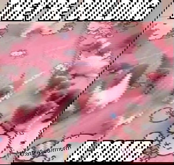 hey.its.yammy hey.its.yammy archive image