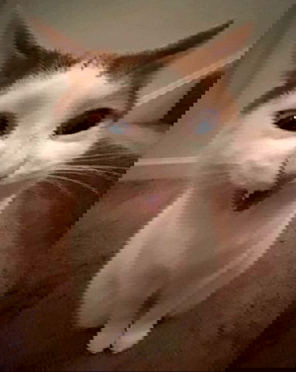 hey.its.yammy hey.its.yammy archive image