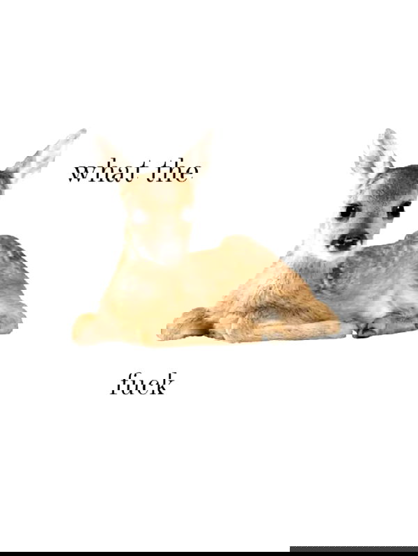 hey.its.yammy hey.its.yammy archive image