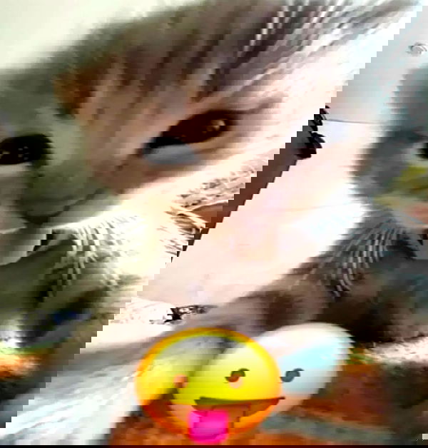 hey.its.yammy hey.its.yammy archive image