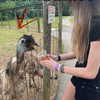 hey_itsjulia766 Altpins Profile Picture