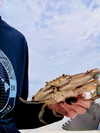 hey_itsjulia766 Altpins Profile Picture