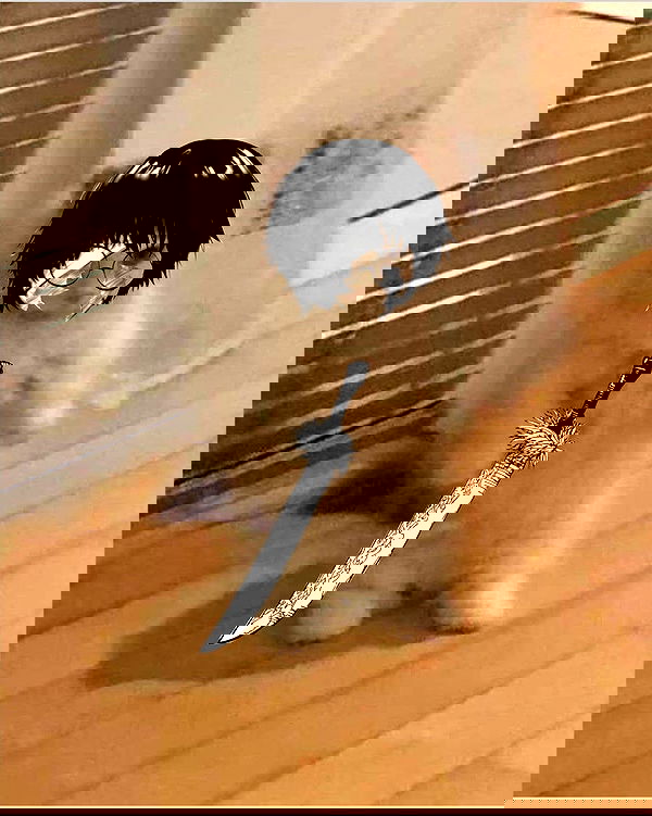 heykrls heykrls archive image