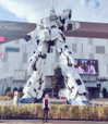 hidori_rose Altpins Profile Picture