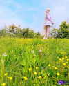 hidori_rose Altpins Profile Picture