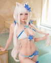 hidori_rose Altpins Profile Picture