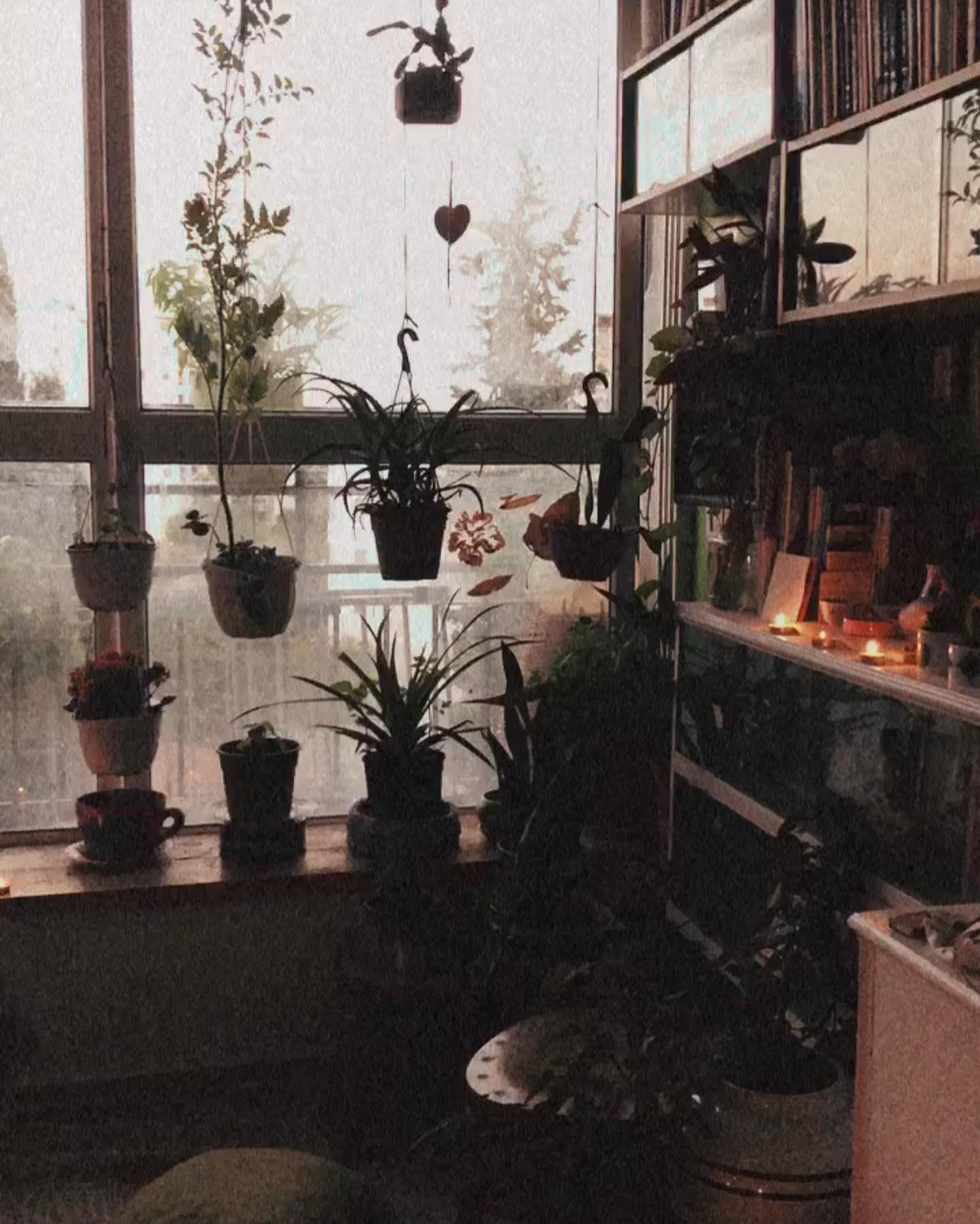 hilaxkitty instagram image archive image