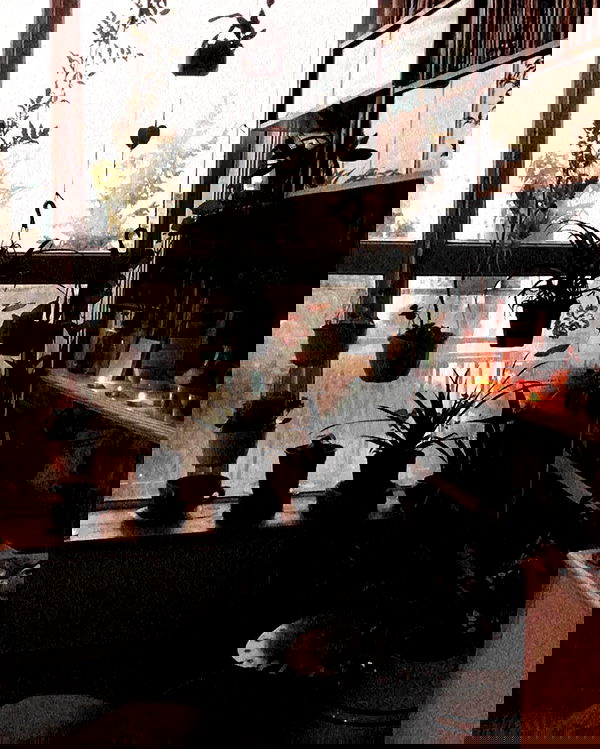 hilaxkitty image ~ Altpins