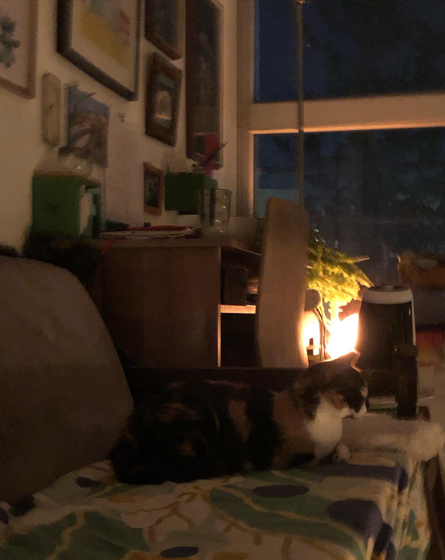 hilaxkitty instagram image archive image