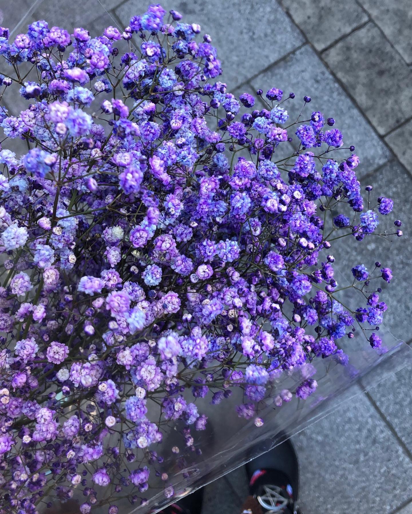 hilaxkitty instagram image archive image