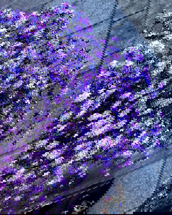 hilaxkitty image ~ Altpins