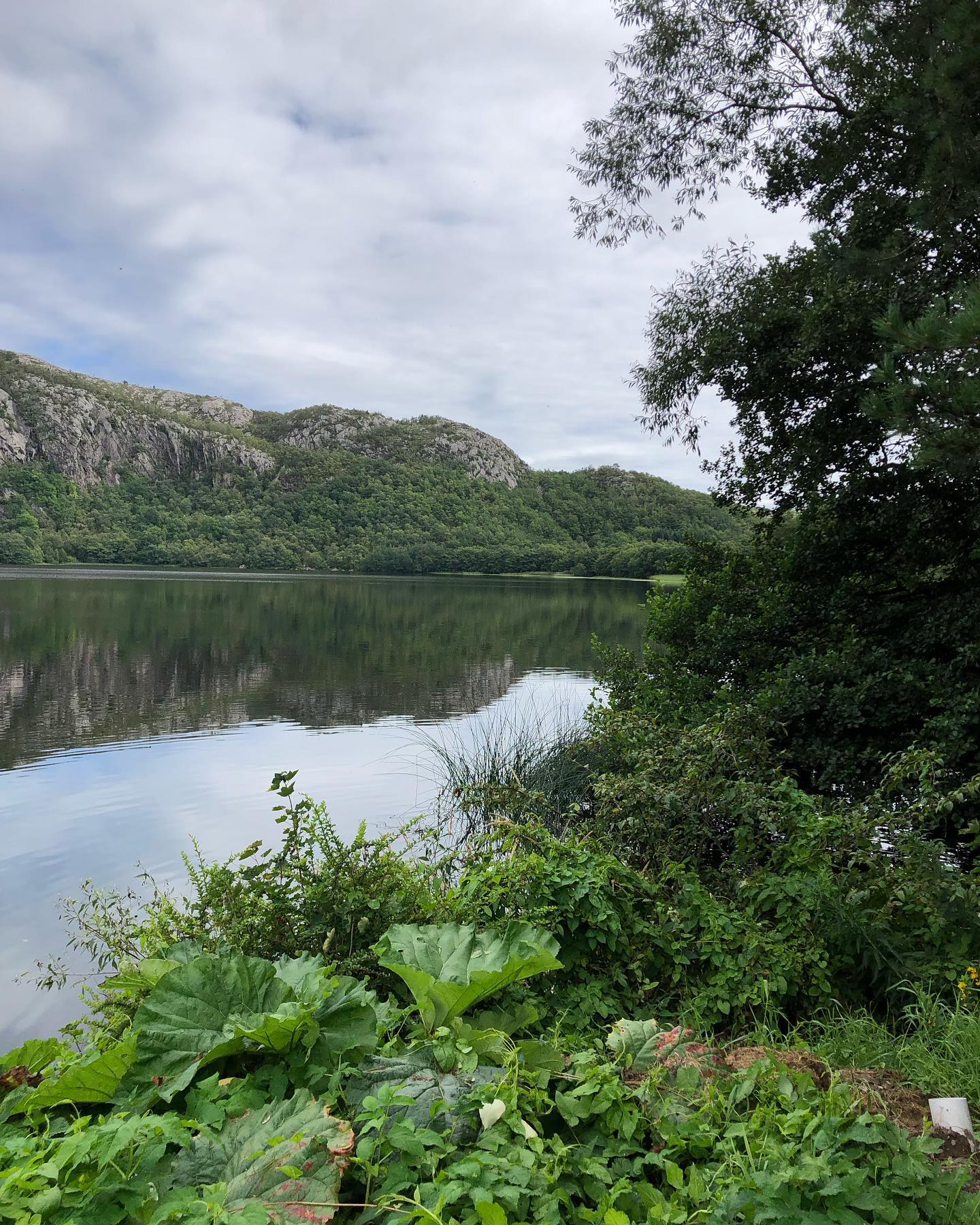 hilaxkitty instagram image archive image