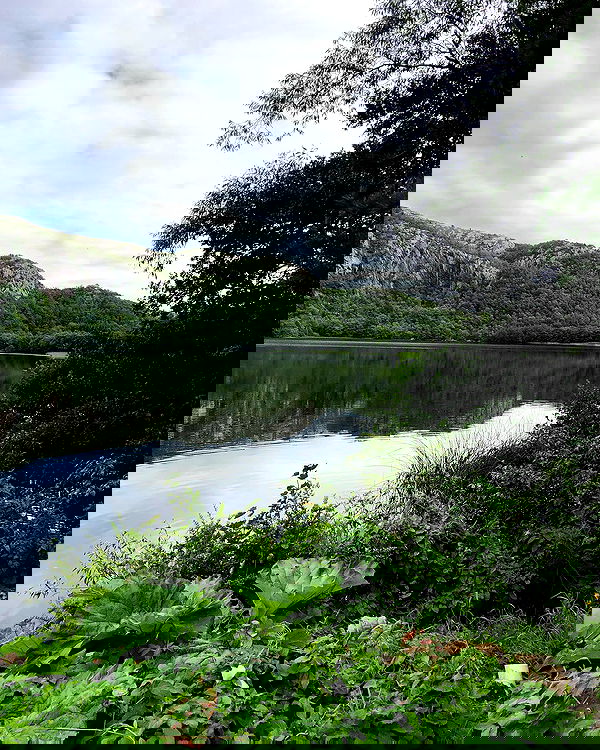 hilaxkitty image ~ Altpins