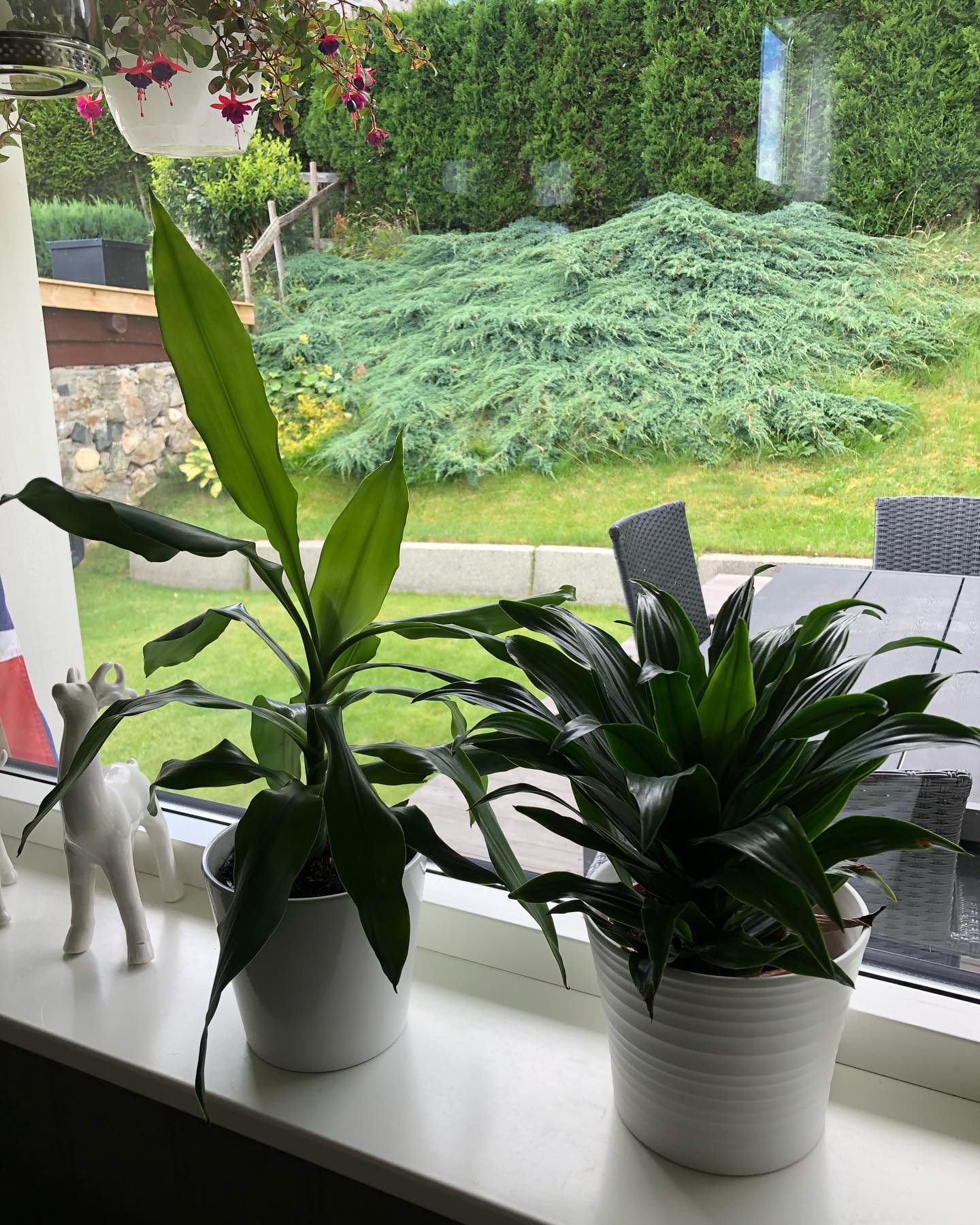 hilaxkitty instagram image archive image