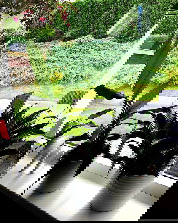 hilaxkitty image ~ Altpins