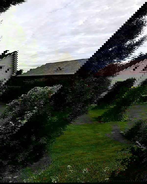 hilaxkitty image ~ Altpins