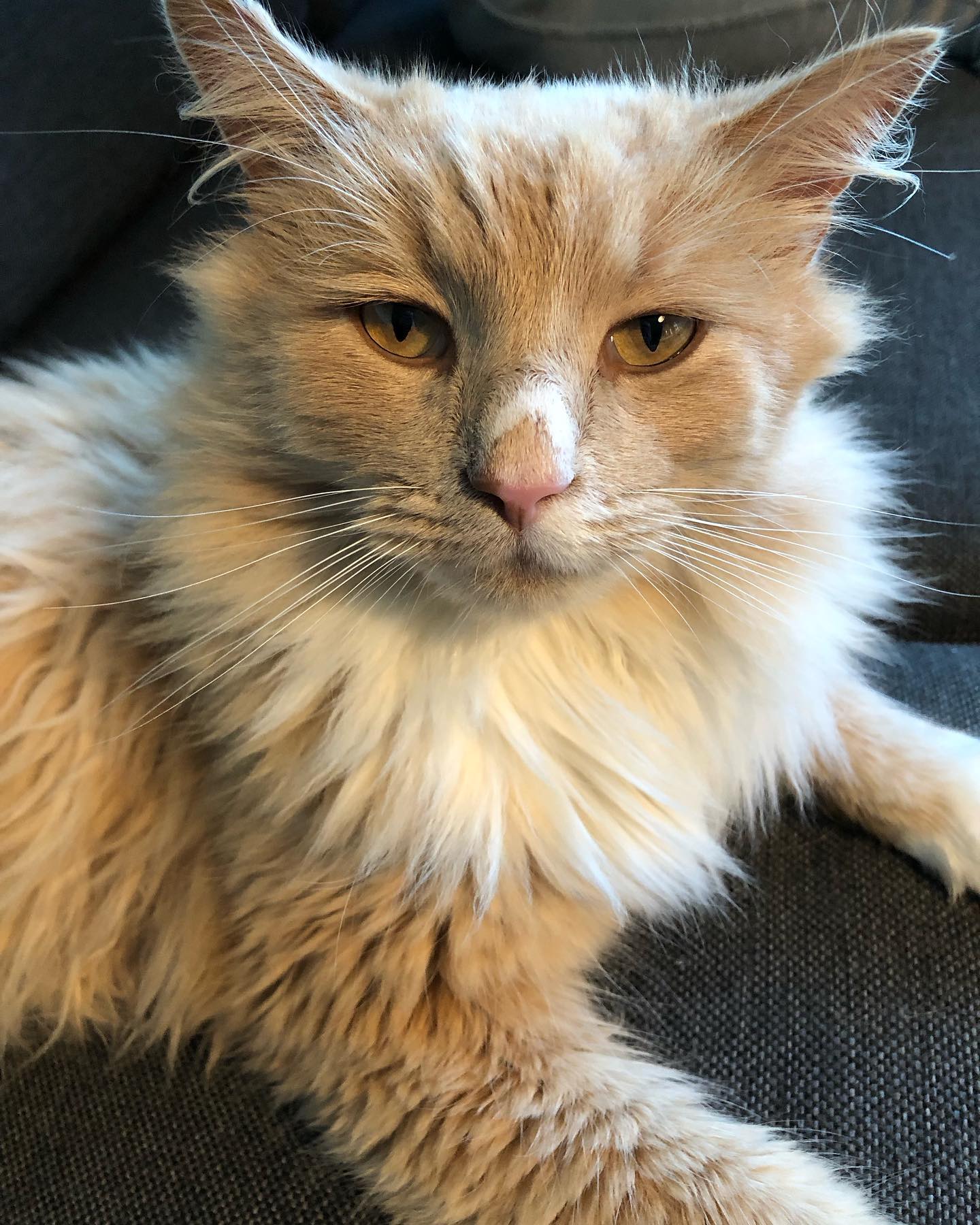 hilaxkitty instagram image archive image