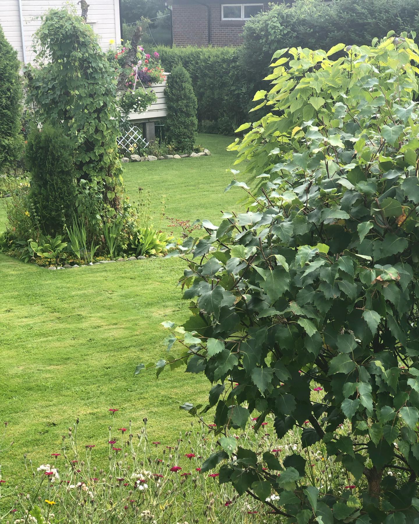 hilaxkitty instagram image archive image