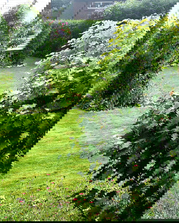 hilaxkitty image ~ Altpins