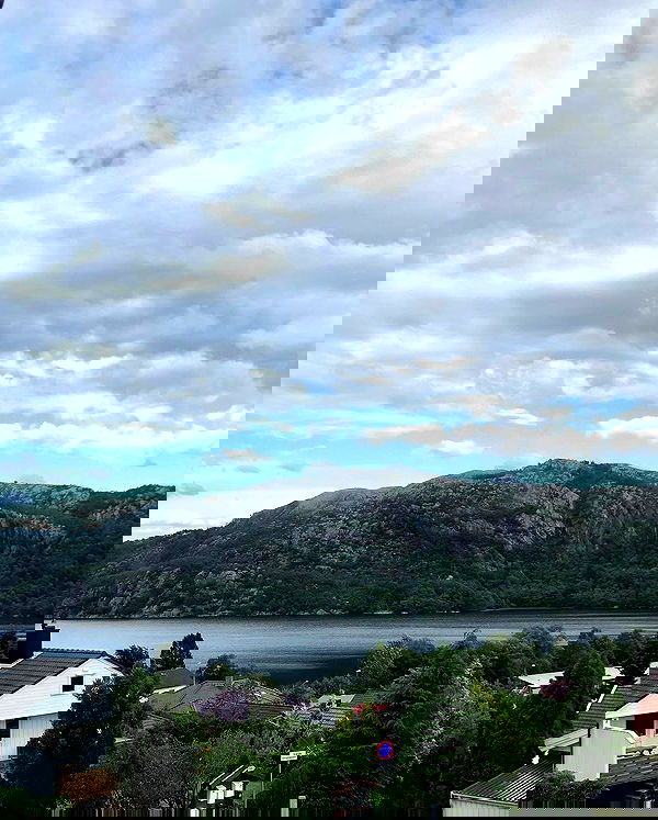 hilaxkitty image ~ Altpins