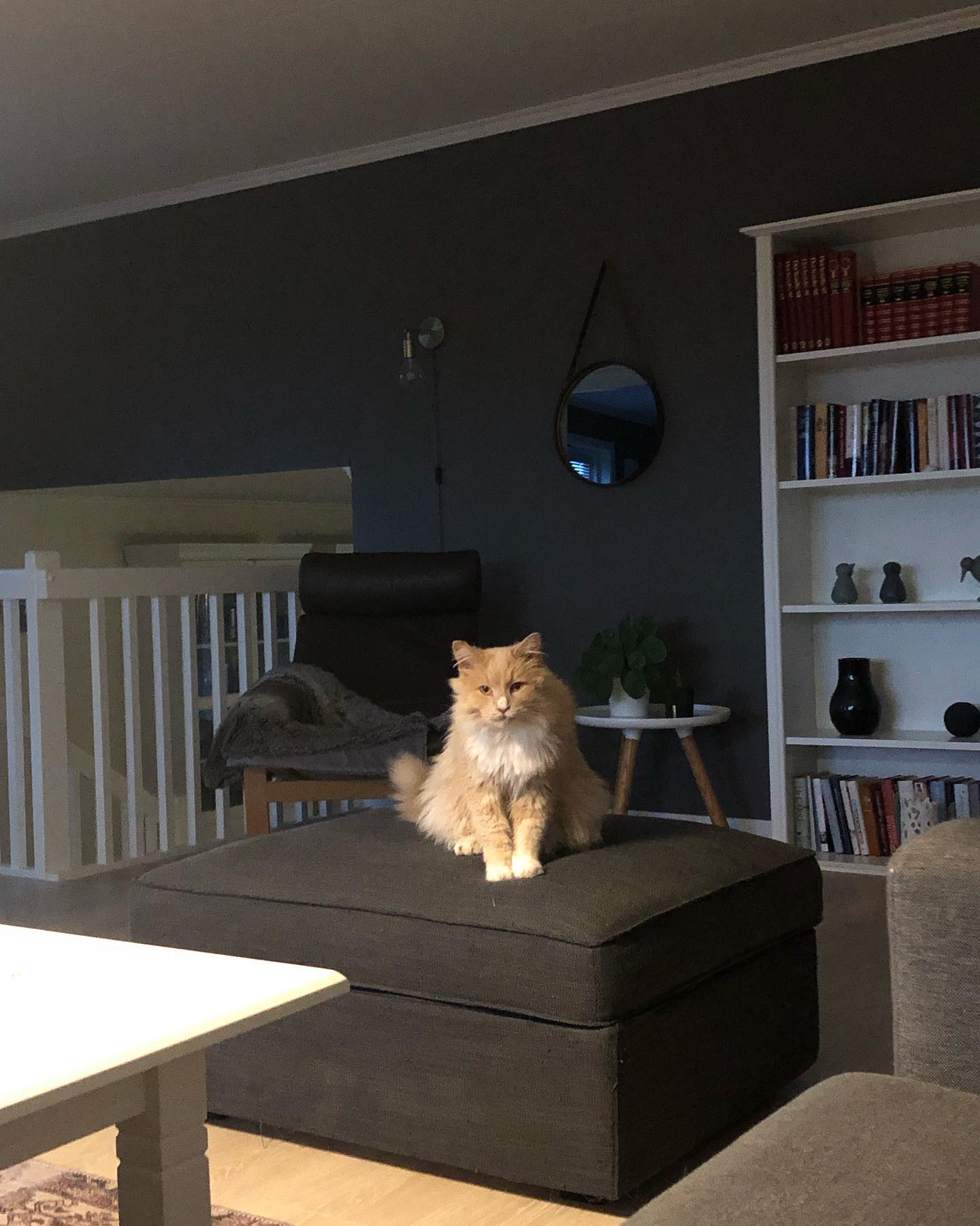 hilaxkitty instagram image archive image