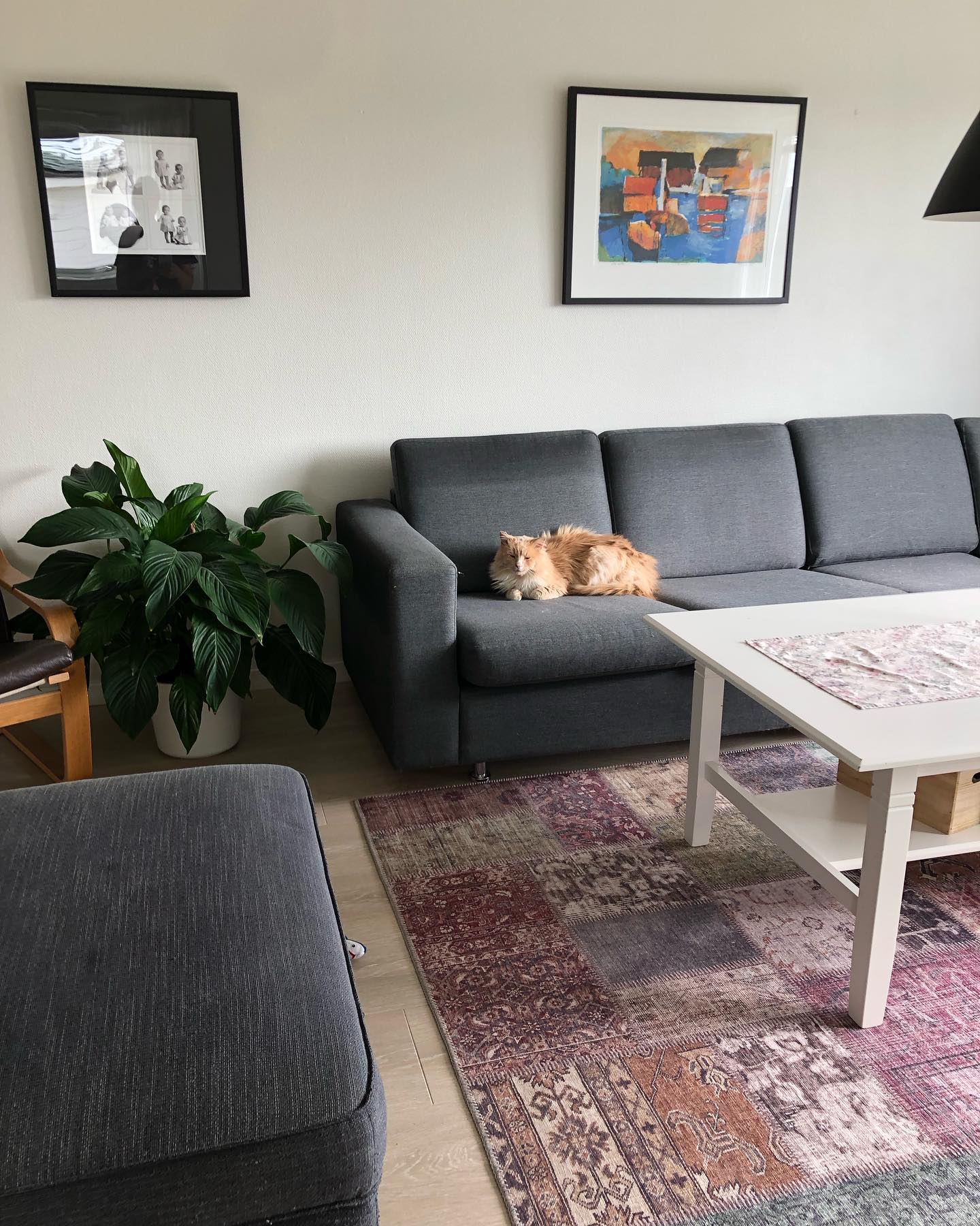 hilaxkitty instagram image archive image