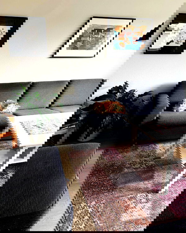 hilaxkitty image ~ Altpins