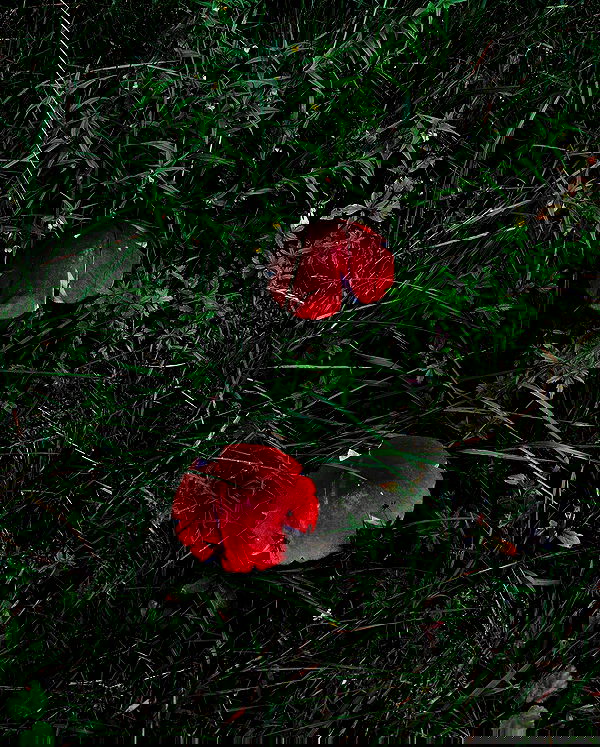 hilaxkitty image ~ Altpins