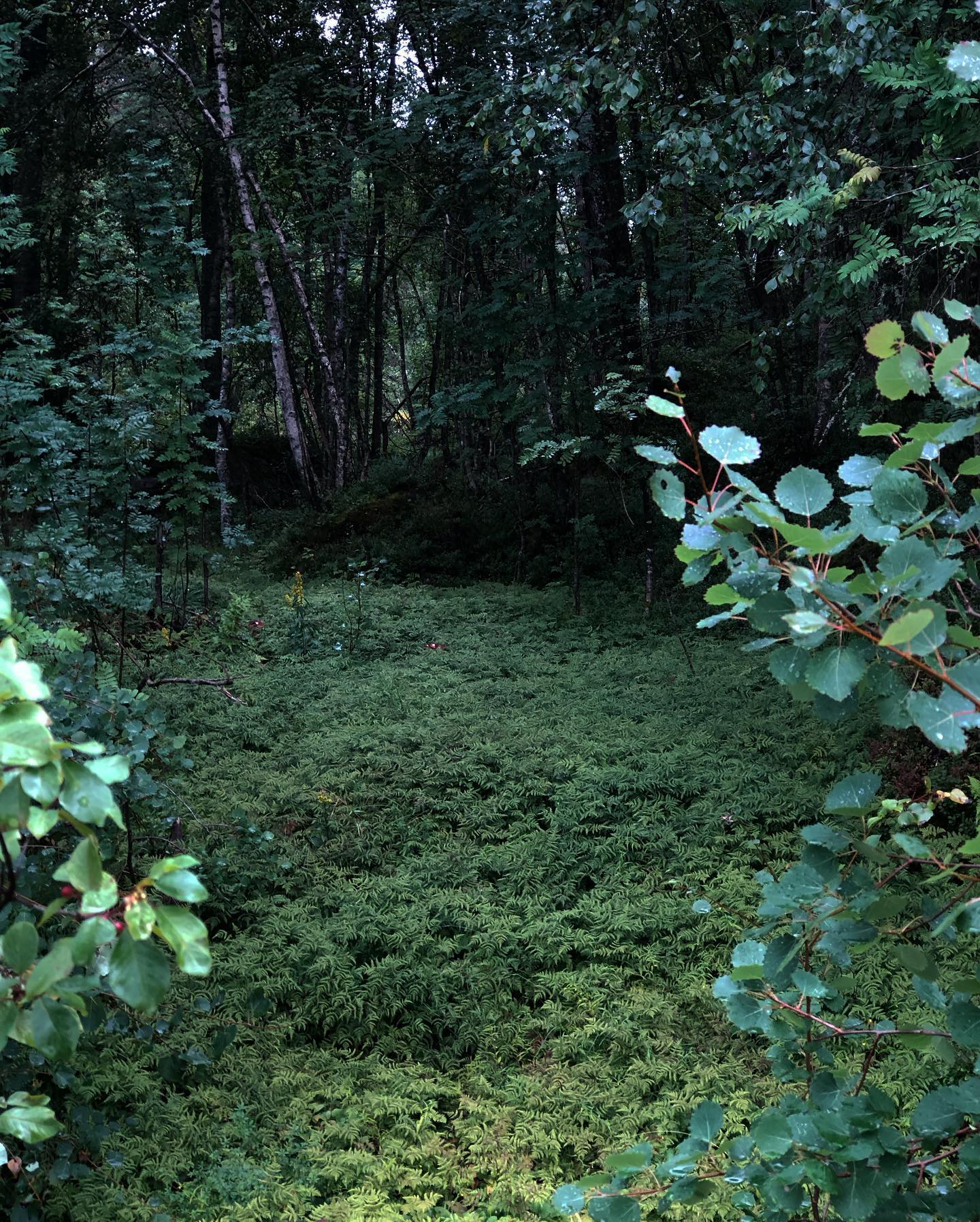 hilaxkitty instagram image archive image