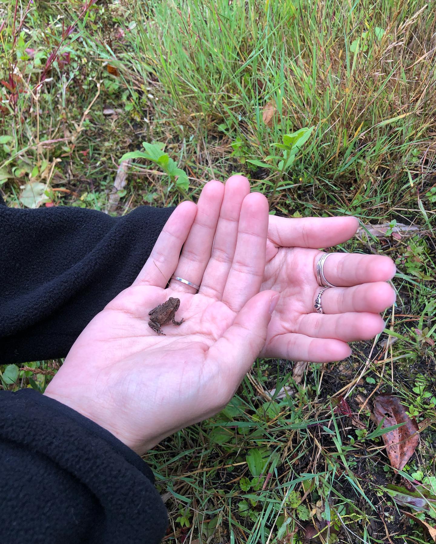 hilaxkitty instagram image archive image