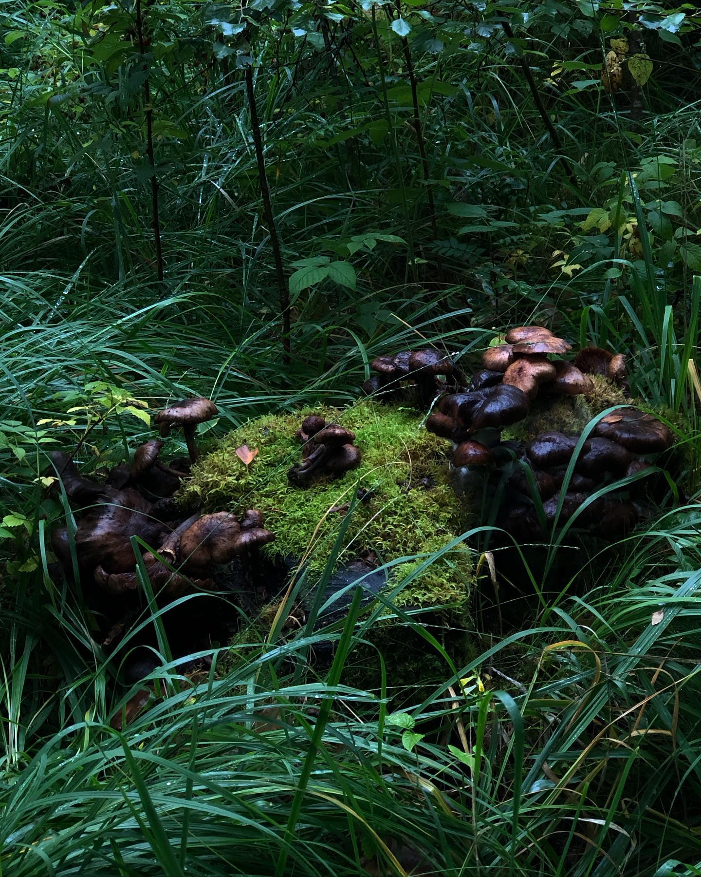 hilaxkitty instagram image archive image