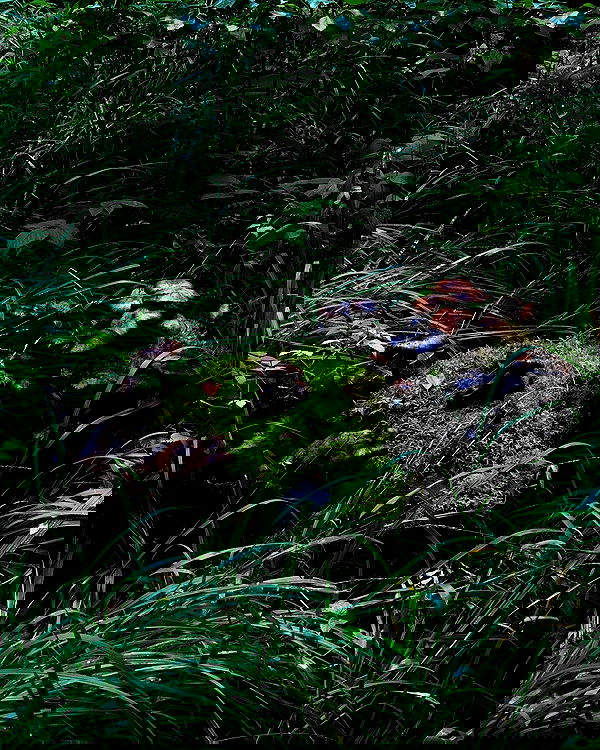 hilaxkitty image ~ Altpins