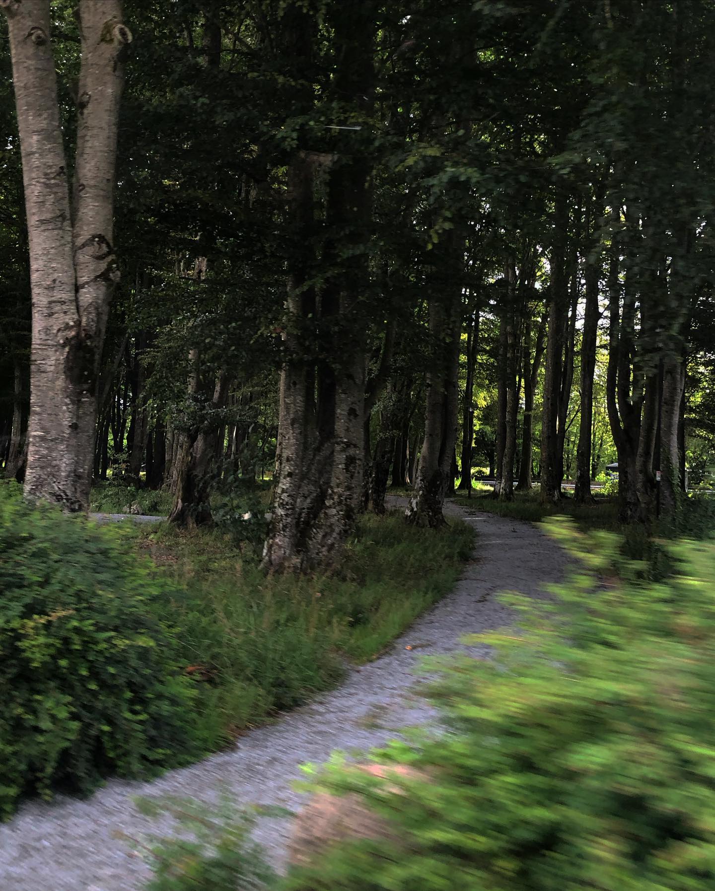 hilaxkitty instagram image archive image