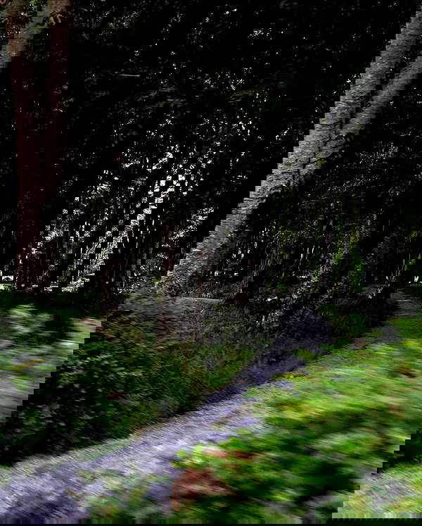 hilaxkitty image ~ Altpins