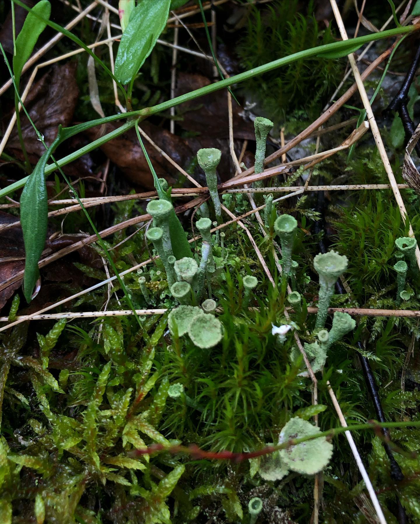 hilaxkitty instagram image archive image