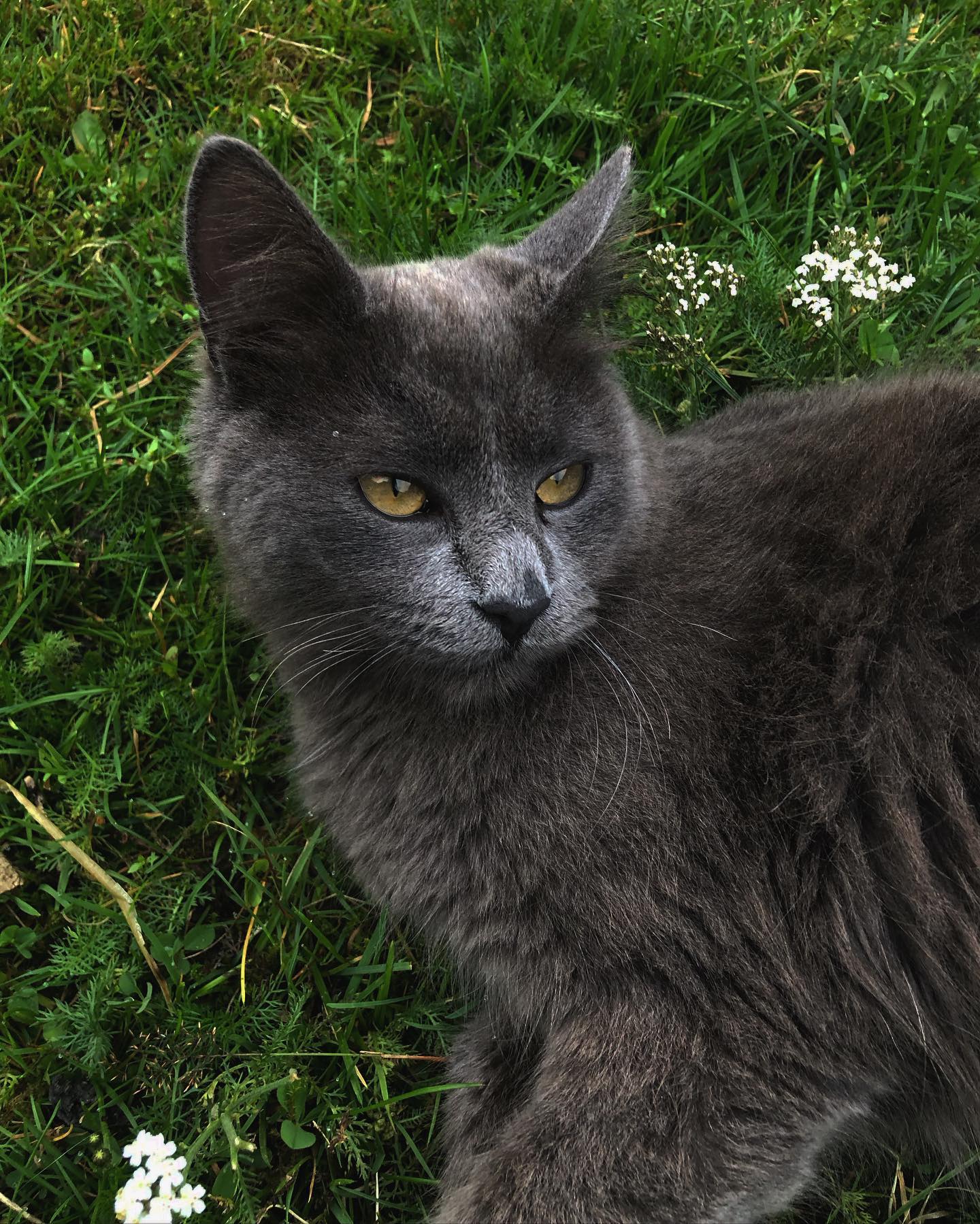 hilaxkitty instagram image archive image