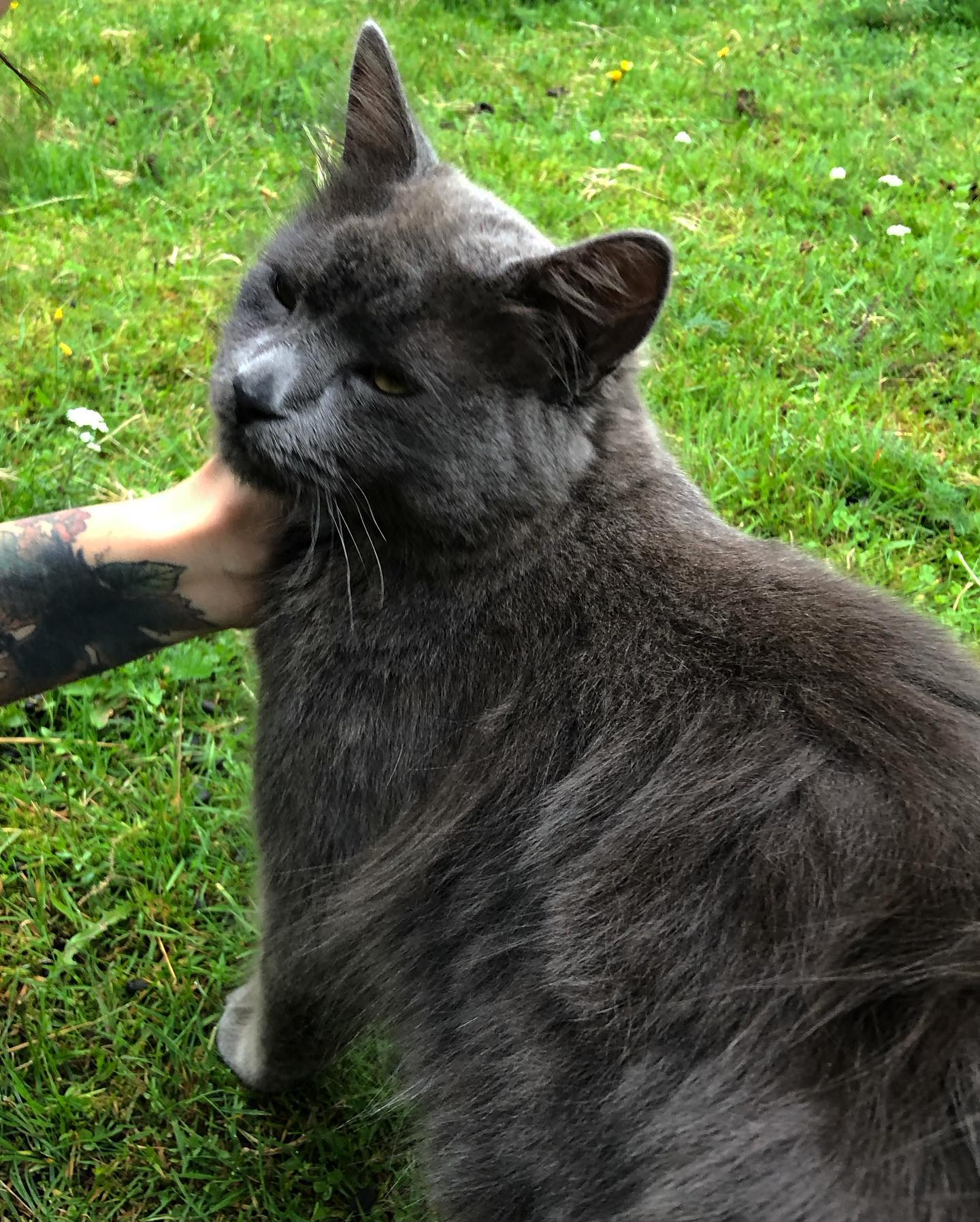 hilaxkitty instagram image archive image